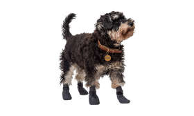 Keturių sportinių šunų batų kojinių rinkinys pilkos spalvos su neslystančiais padais, lengvos, anti-slydimo guma.