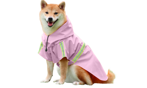Shiba Inu su rožiniu neperšlampamu lietpalčiu ir atspindinčiomis juostomis, lengvai užsegamas, sunu vardams.