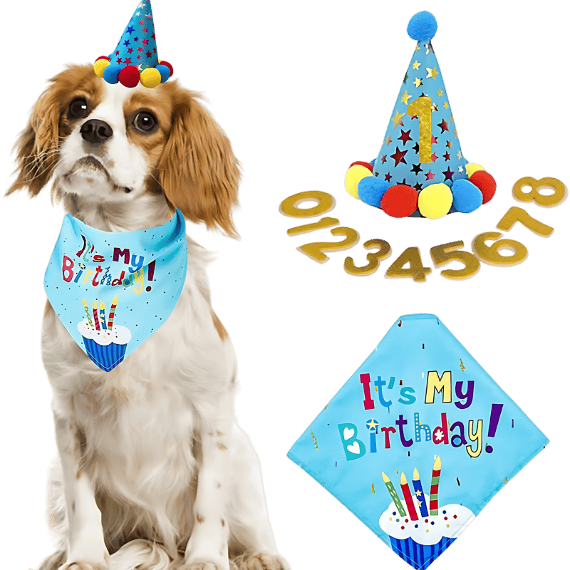 Šuns Gimtadienio Skarelės Rinkinys Mėlynas šunų gimtadienio rinkinys su spalvinga „It's My Birthday!” bandana, minkštas ir patvarus.