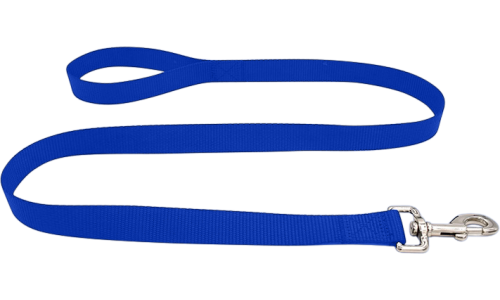 Tvirta mėlyna nailoninė šuns pavadėlis 120cm, lengva valyti, patvarus, su saugiu sidabriniu užsegimu.