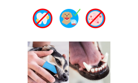 360º Silikoninis Pirštų Dantų Šepetėlis Šunims