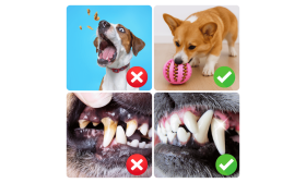 Interaktyvus Kramtomas Žaislas Šunims su Maisto Dozatoriumi