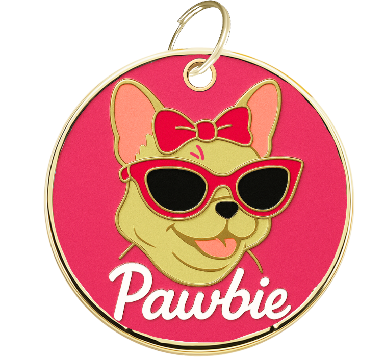 Graviruotas Pawbie Pakabukas Šunims